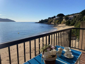 Appartement pieds dans l'eau avec terrasse et superbe vue mer, Tiuccia - FR-1-61-477
